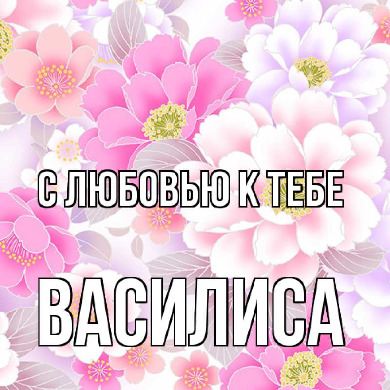 Картинка С любовью к тебе, Василиса