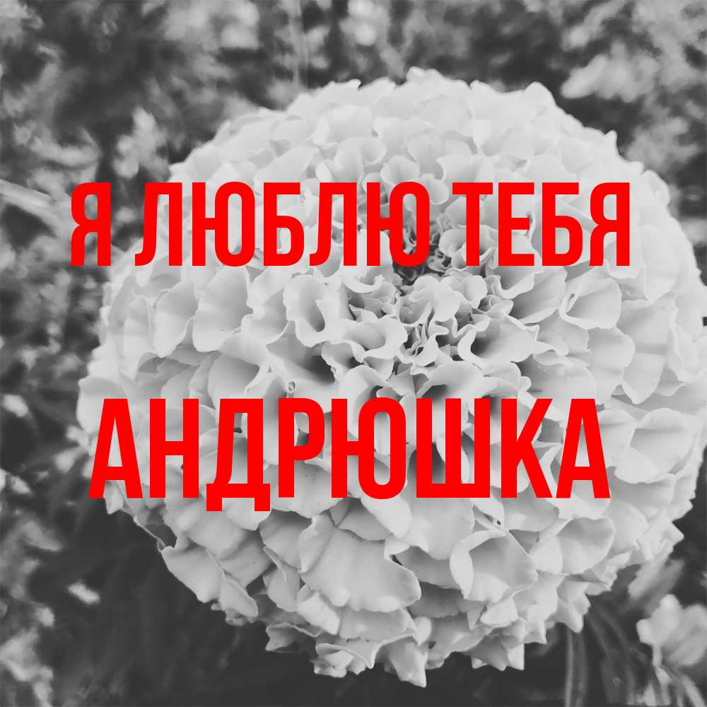 Открытка  с именем. Андрюшка, Я люблю тебя  