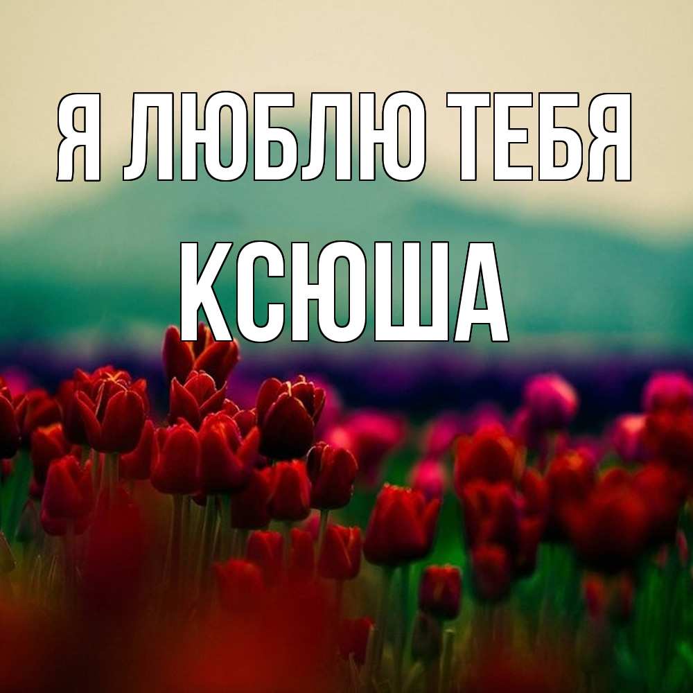 Открытка  с именем. Ксюша, Я люблю тебя  