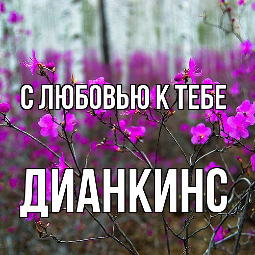 Открытка  с именем. Дианкинс, С любовью к тебе  