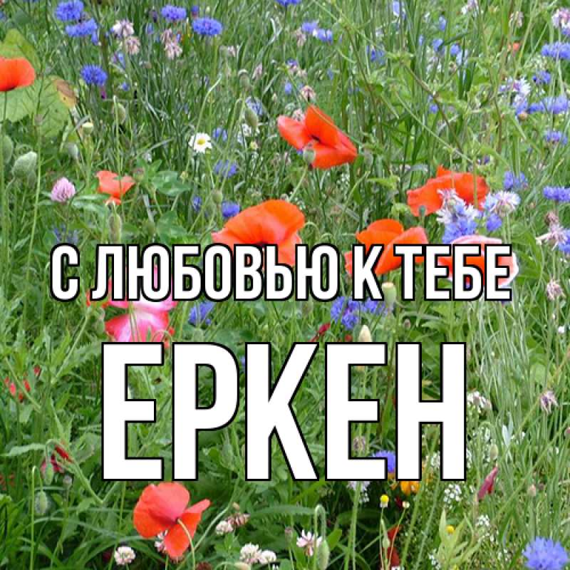 Открытка с именем, Еркен, С любовью к тебе