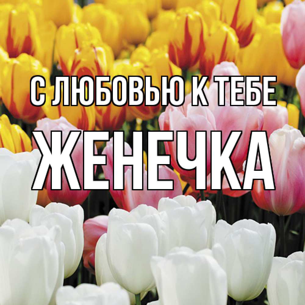 Открытка  с именем. Женечка, С любовью к тебе  