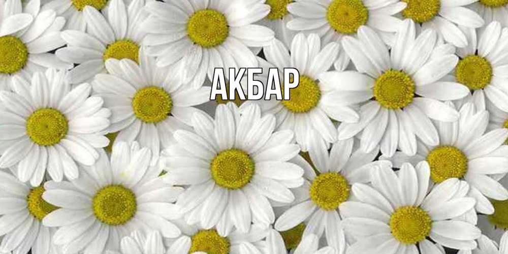 Открытка  с именем. Акбар, Главная  