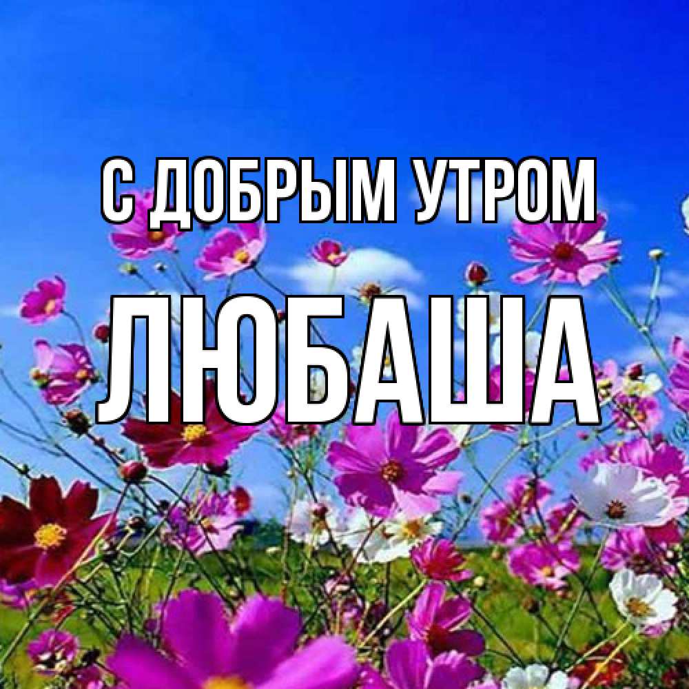 Открытка  с именем. ЛЮБАША, С добрым утром  