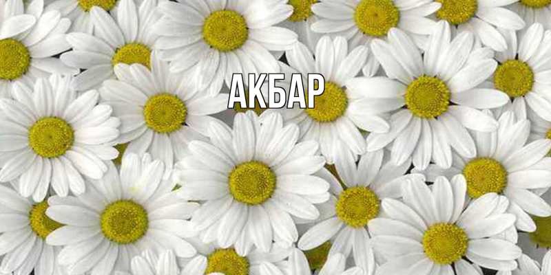 Картинка  с именем , Акбар