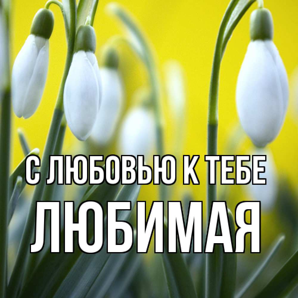 Открытка  с именем. Любимая, С любовью к тебе  