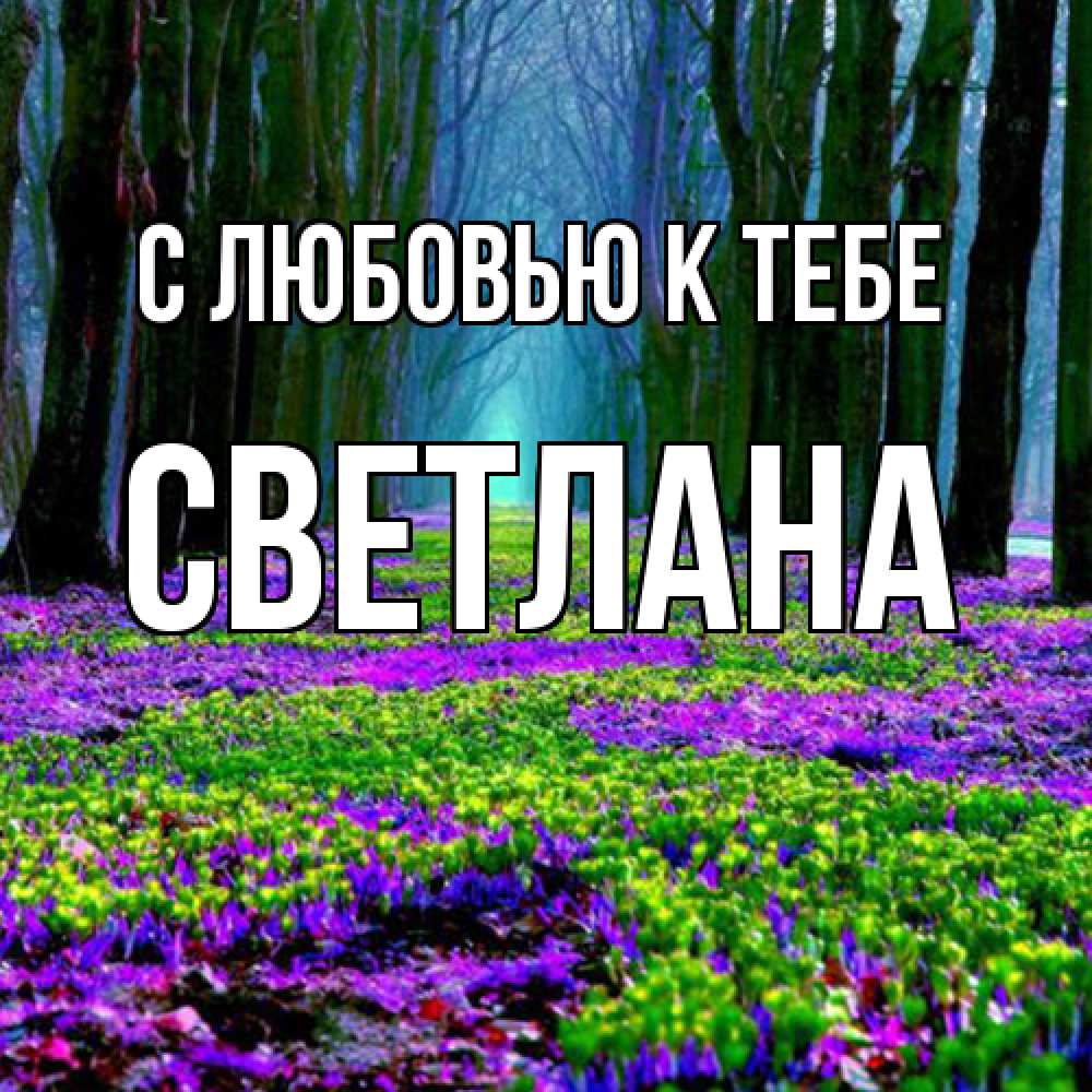 Открытка  с именем. Светлана, С любовью к тебе  