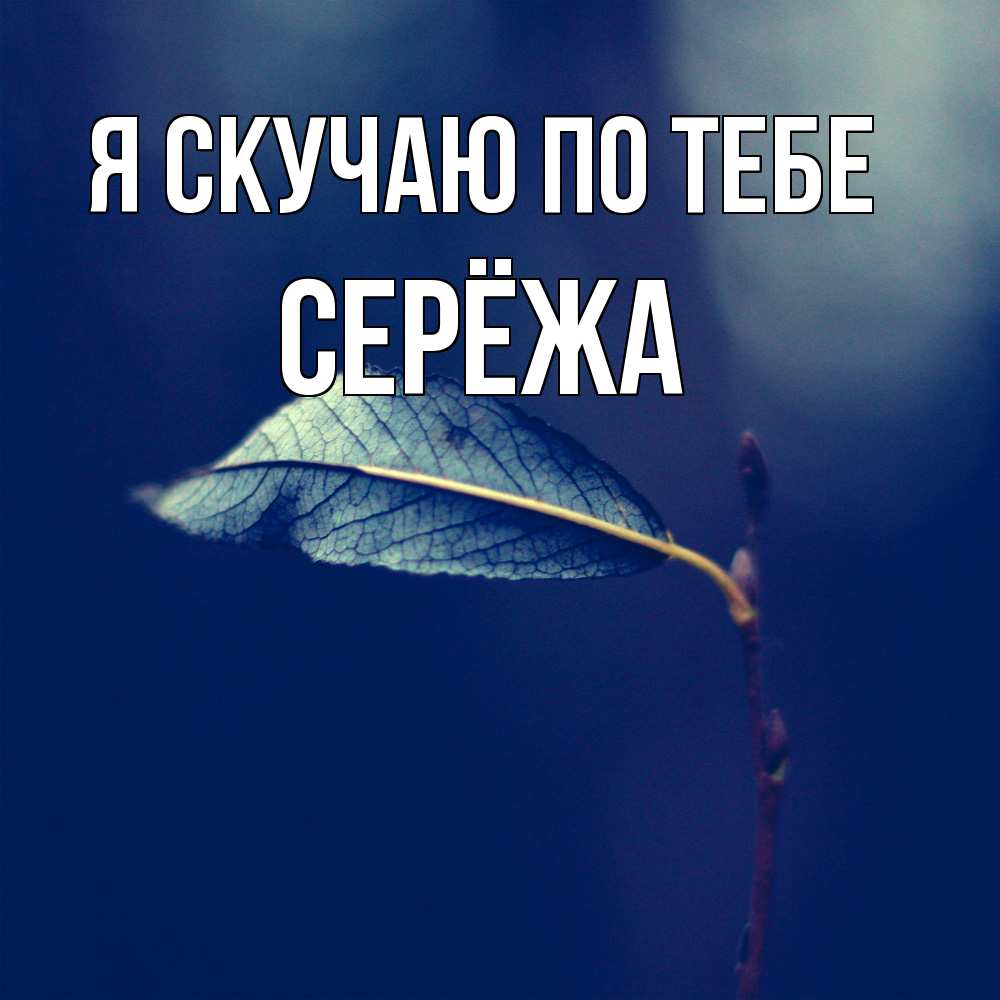 Открытка  с именем. Серёжа, Я скучаю по тебе  