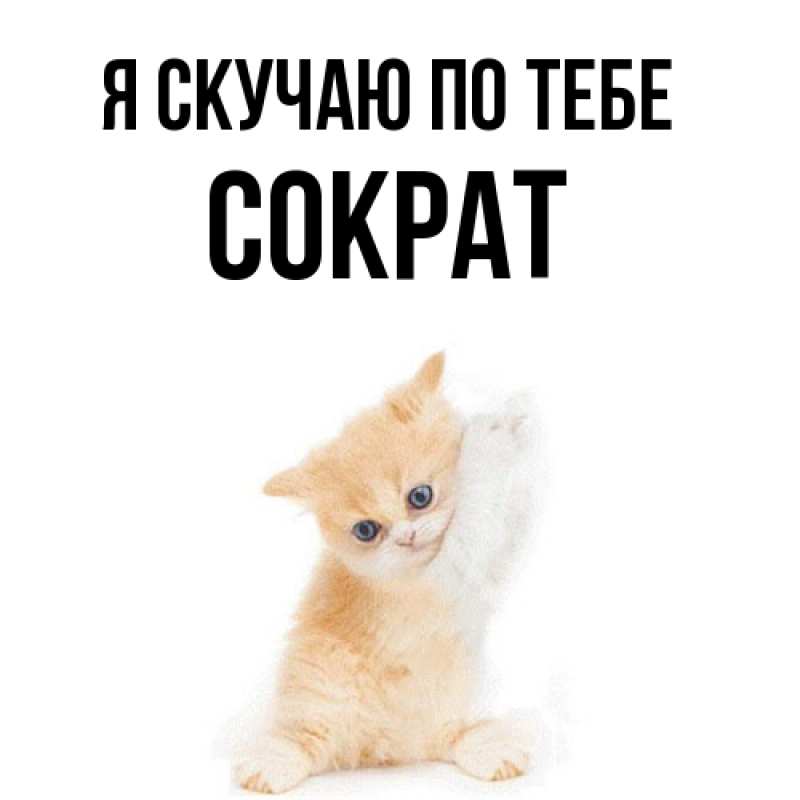 Картинка Я скучаю по тебе, Сократ