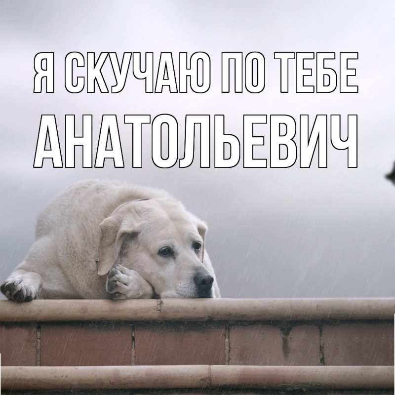 Картинка Я скучаю по тебе, Анатольевич