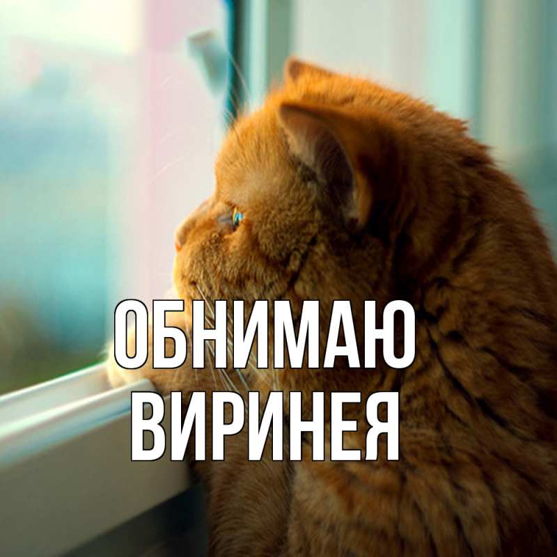 Картинка Обнимаю, Виринея