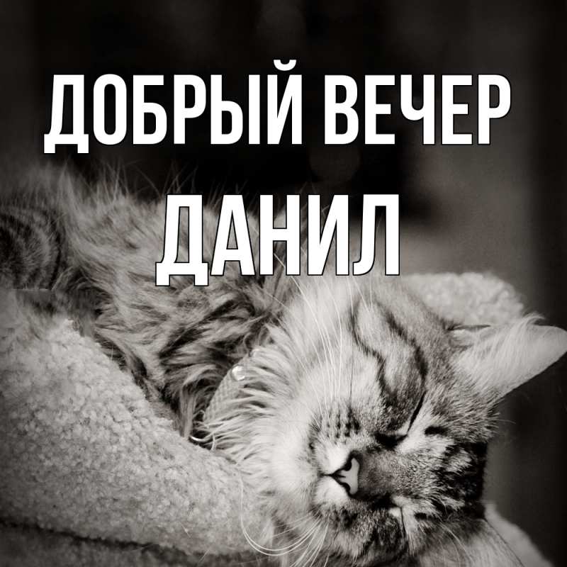 Картинка Добрый вечер, Данил