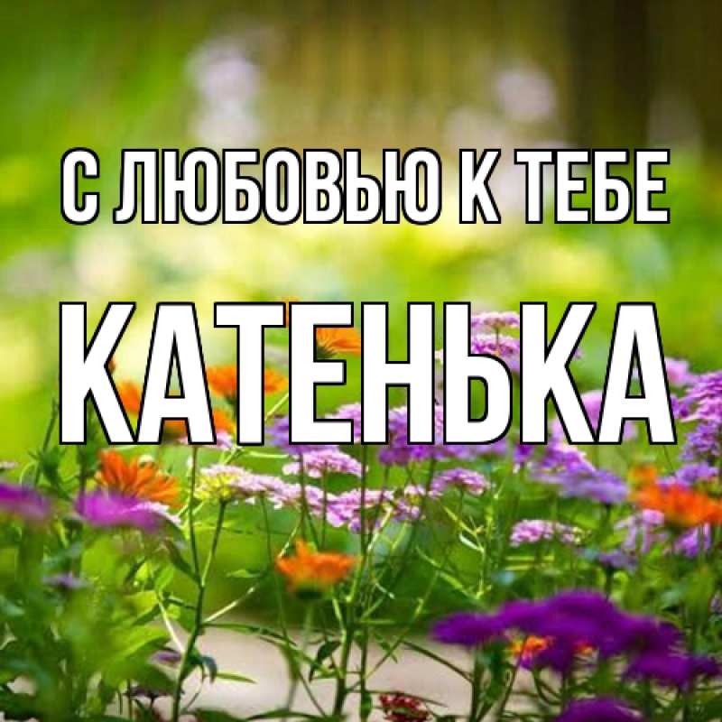 Картинка С любовью к тебе, Катенька