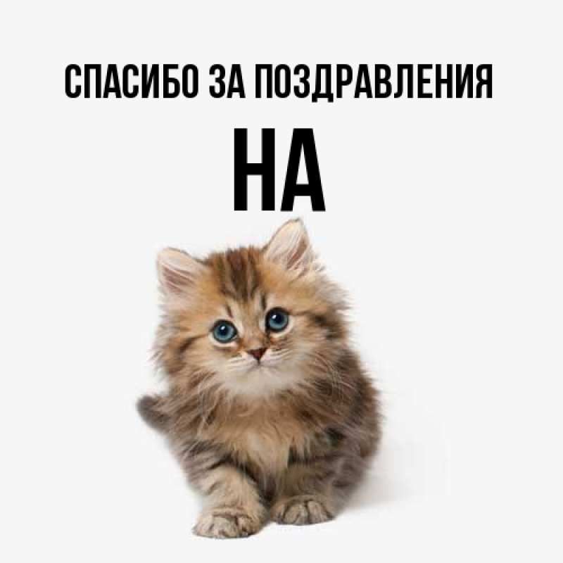 Картинка Спасибо за поздравления, на
