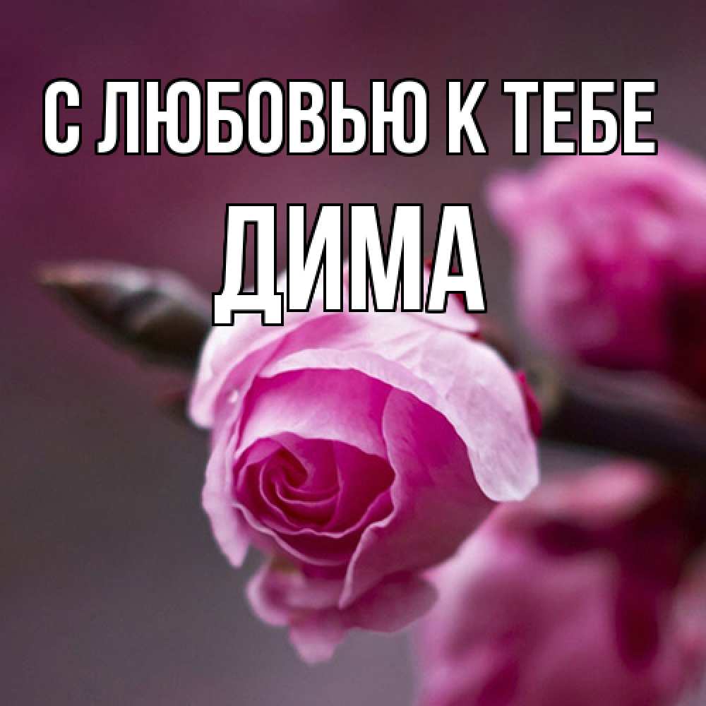 Открытка  с именем. Дима, С любовью к тебе  