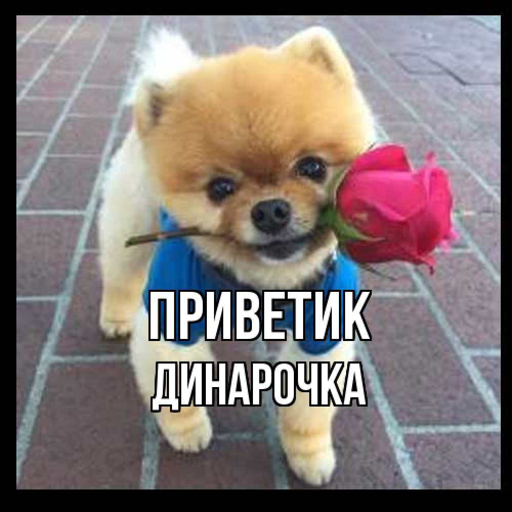 Открытка  с именем. Динарочка, приветик  