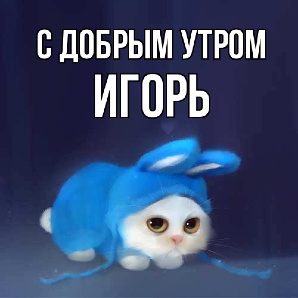 Открытка  с именем. Игорь, С добрым утром  
