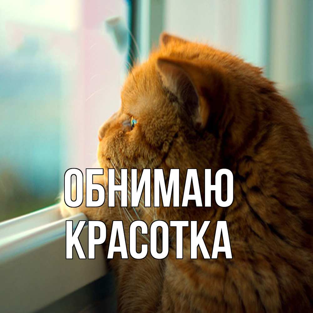 Открытка  с именем. Красотка, Обнимаю  