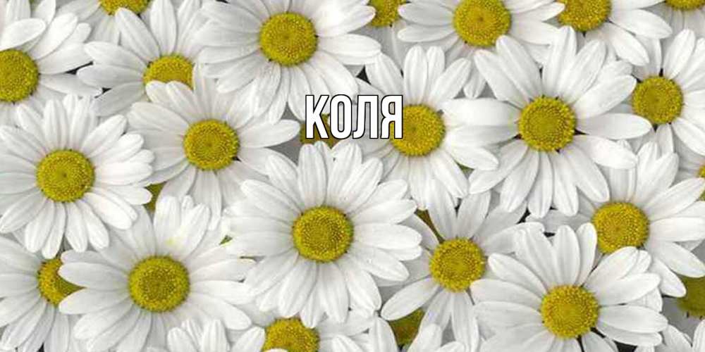 Открытка  с именем. коля, Главная  