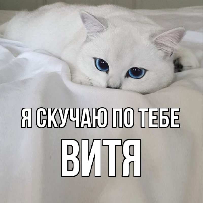 Картинка Я скучаю по тебе, Витя