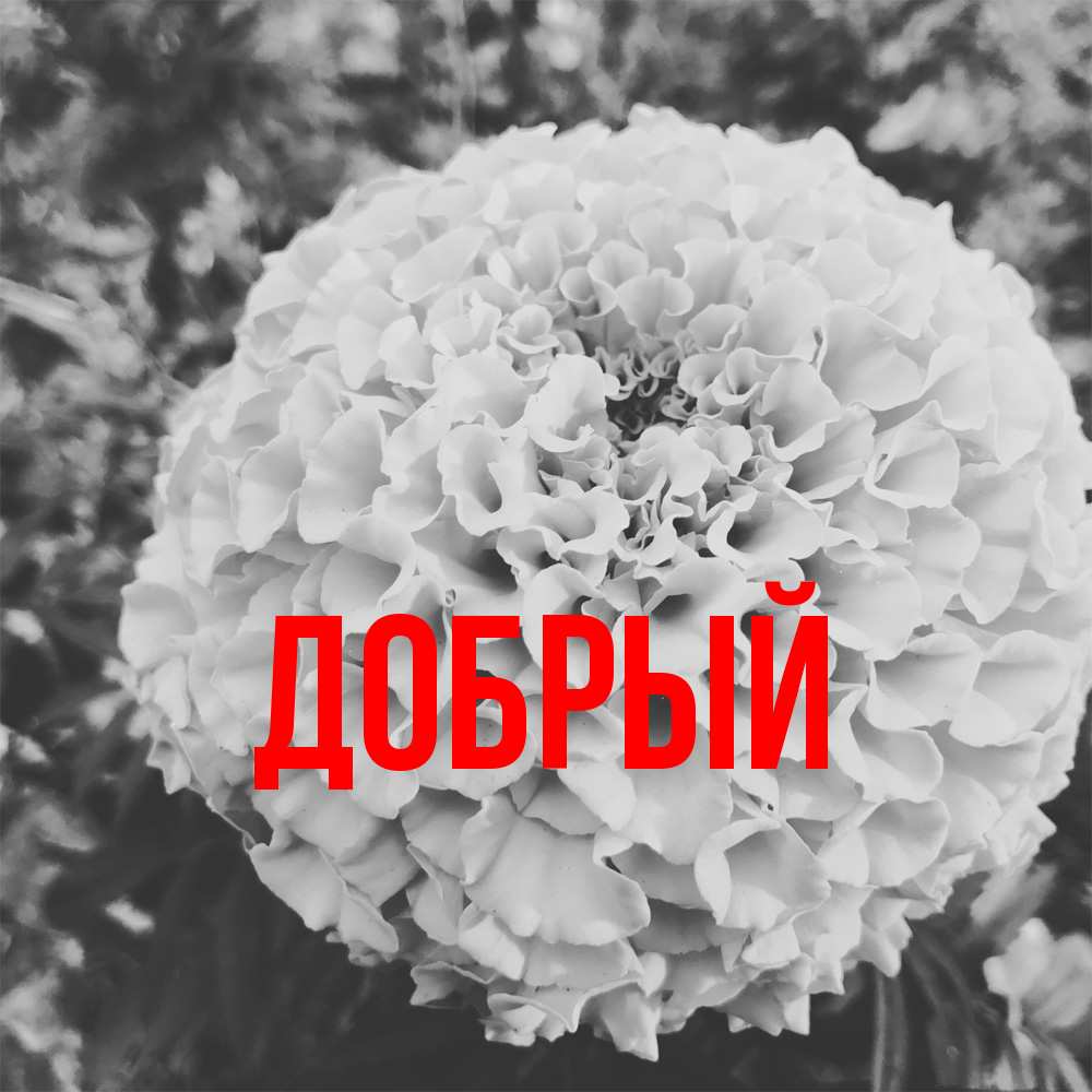 Открытка  с именем. Добрый, Главная  