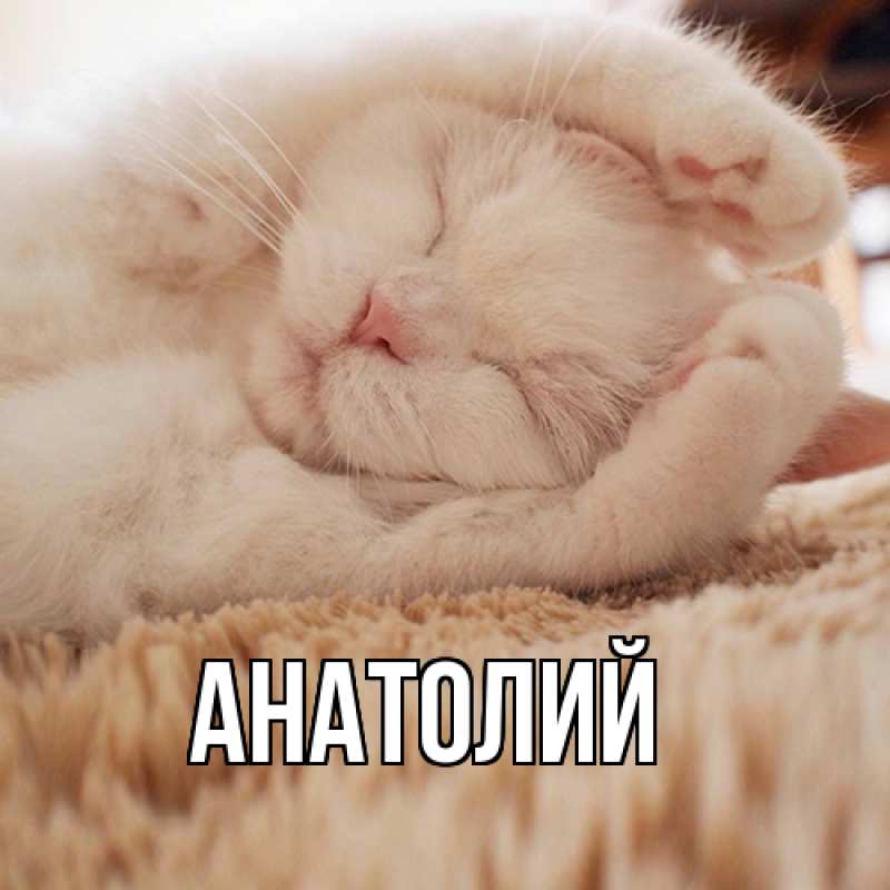 Картинка  с именем , Анатолий