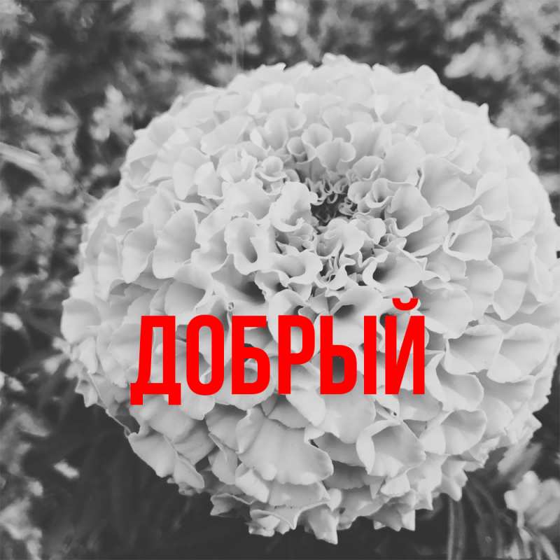 Картинка  с именем , Добрый