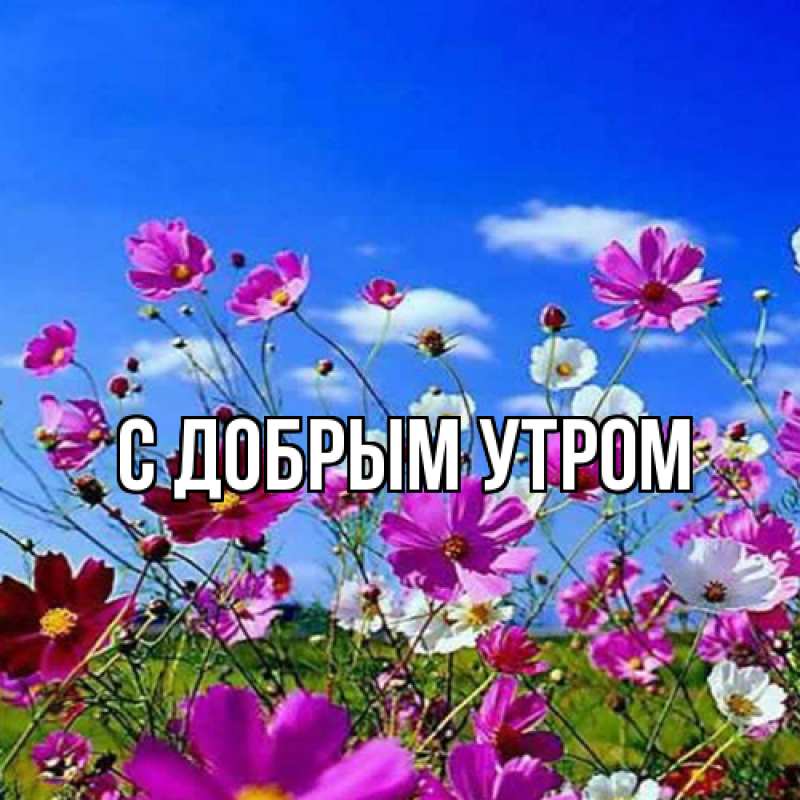 Картинка С добрым утром, 