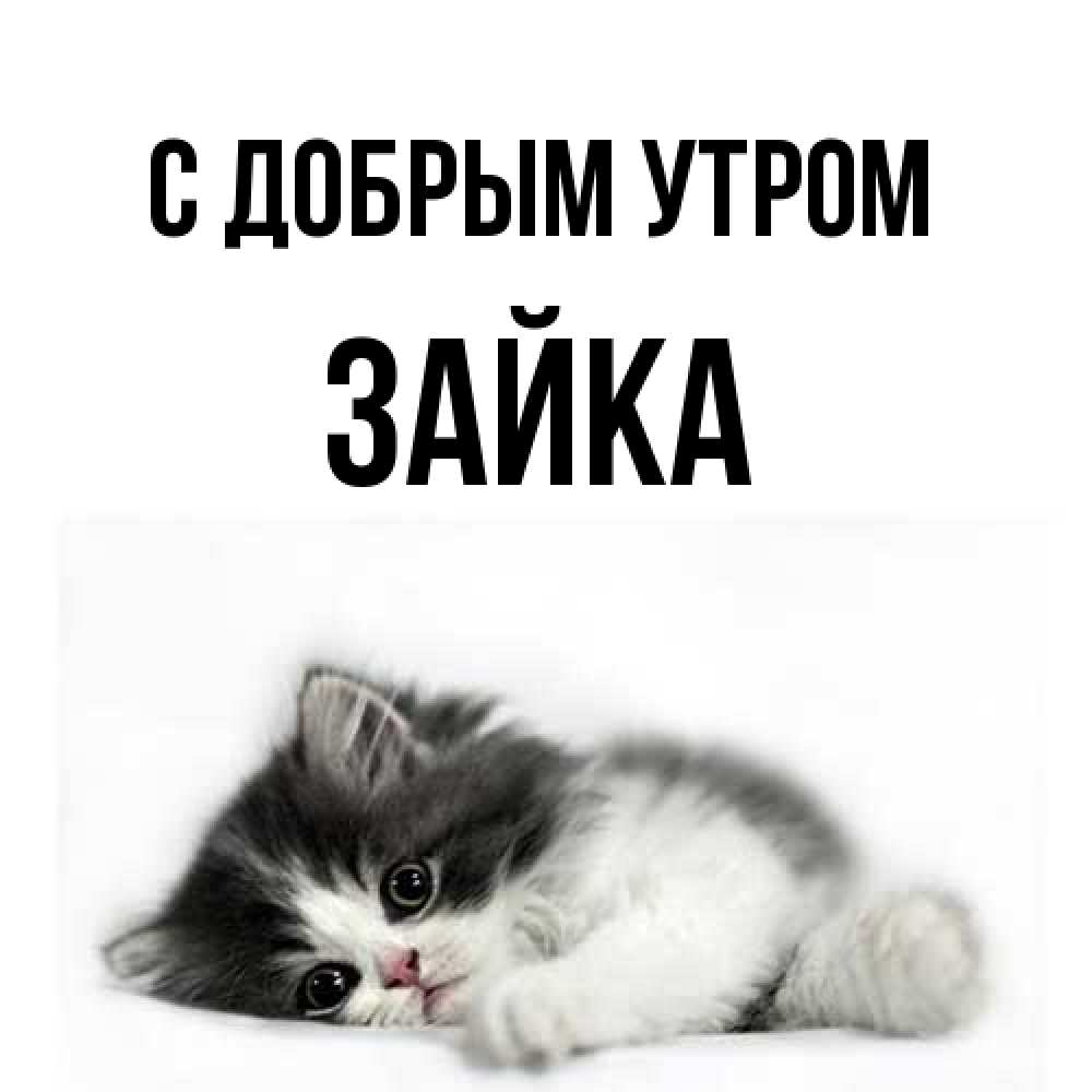 Открытка  с именем. Зайка, С добрым утром  