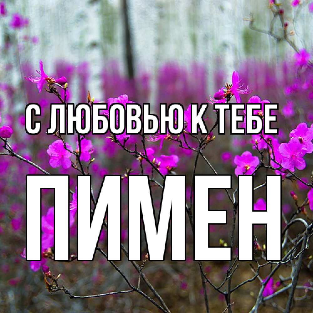 Открытка  с именем. Пимен, С любовью к тебе  