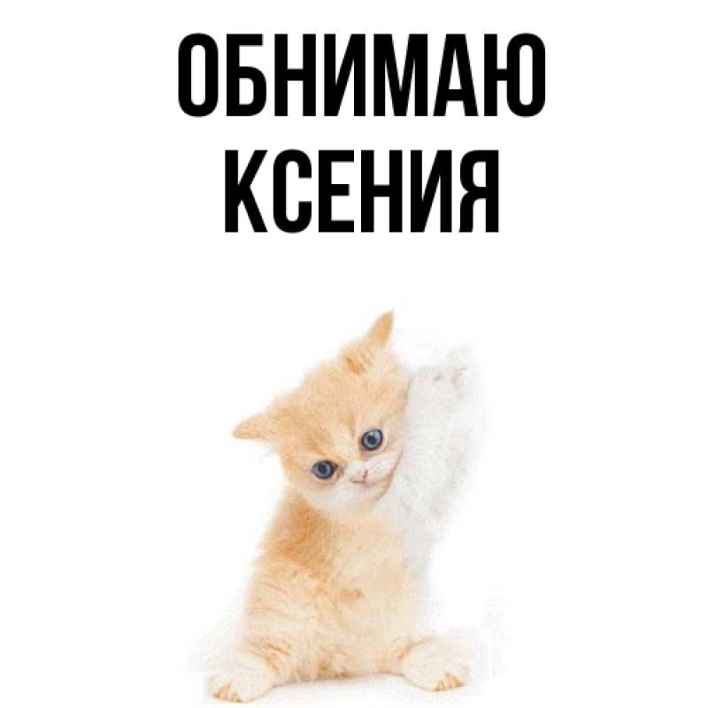 Картинка Обнимаю, Ксения