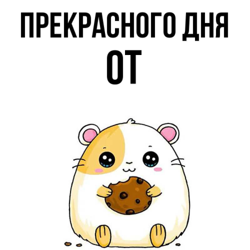Картинка Прекрасного дня, От