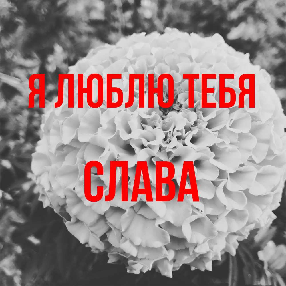Открытка  с именем. Слава, Я люблю тебя  