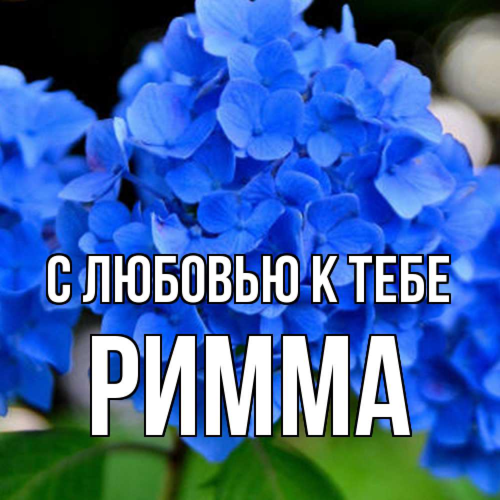 Открытка  с именем. Римма, С любовью к тебе  