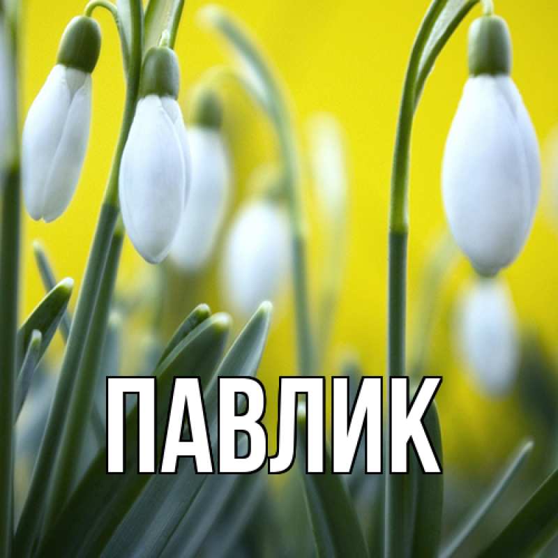 Картинка  с именем , Павлик