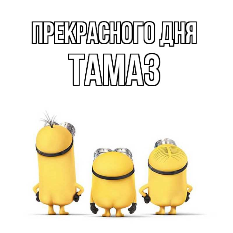 Картинка Прекрасного дня, Тамаз