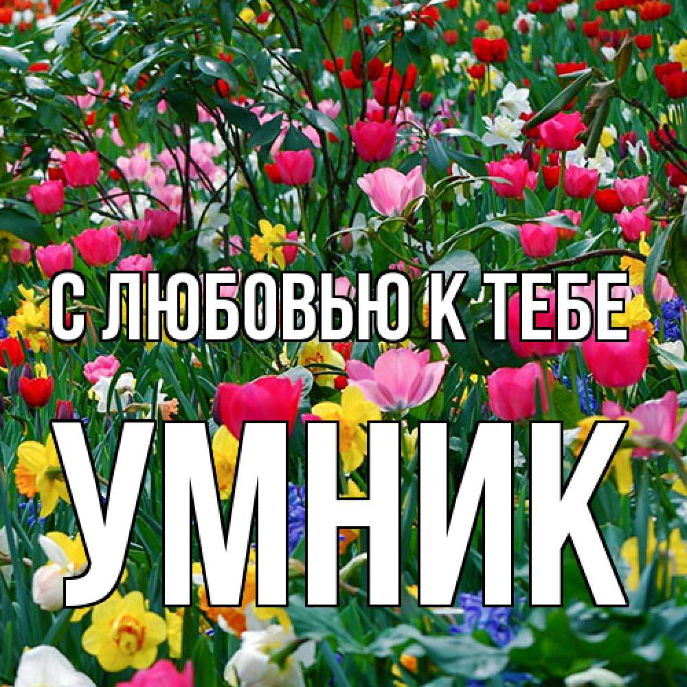 Открытка  с именем. Умник, С любовью к тебе  