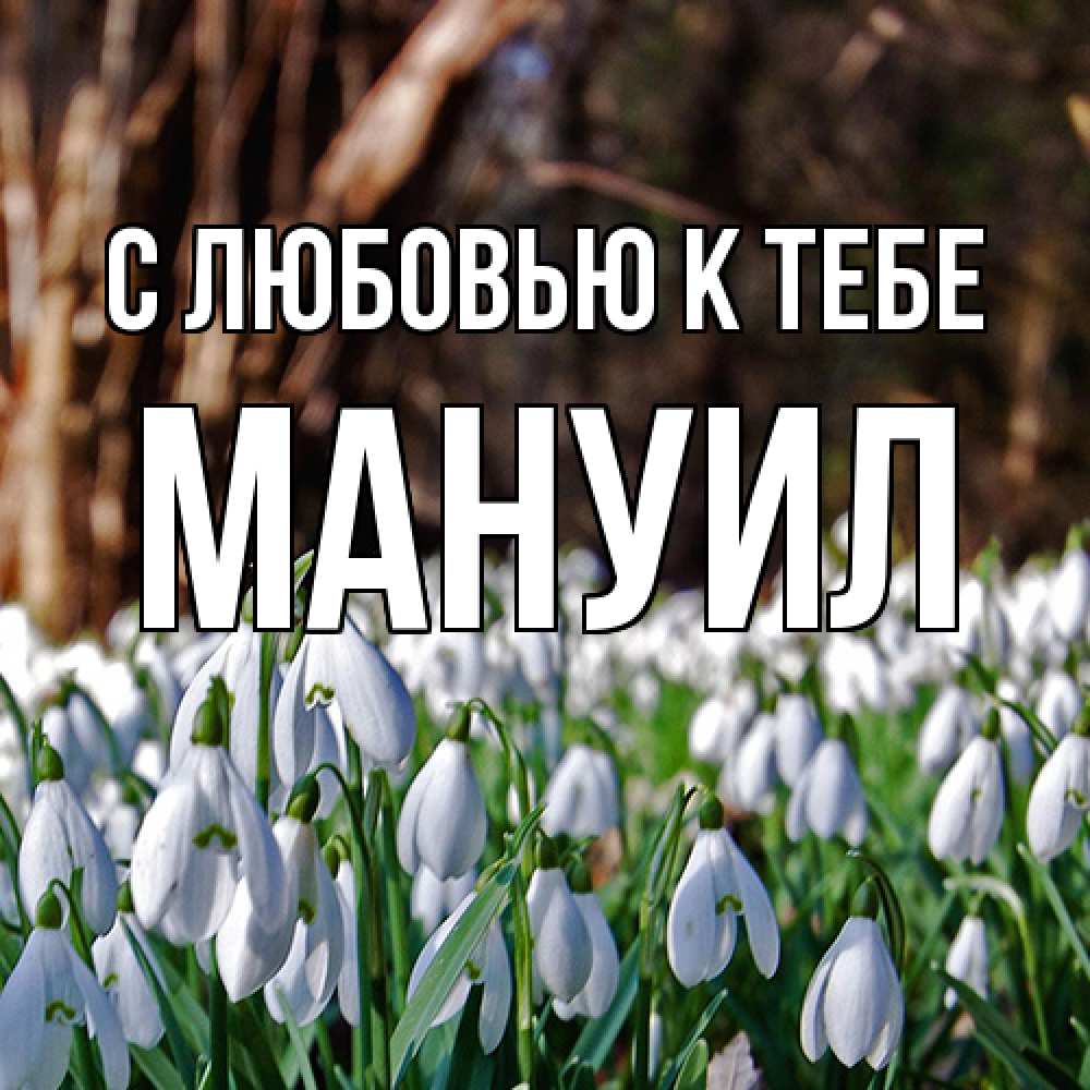 Открытка  с именем. Мануил, С любовью к тебе  