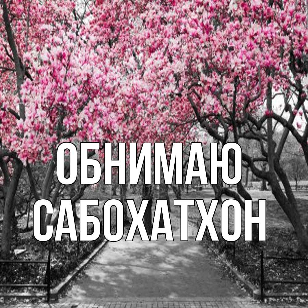 Открытка  с именем. Сабохатхон, Обнимаю  