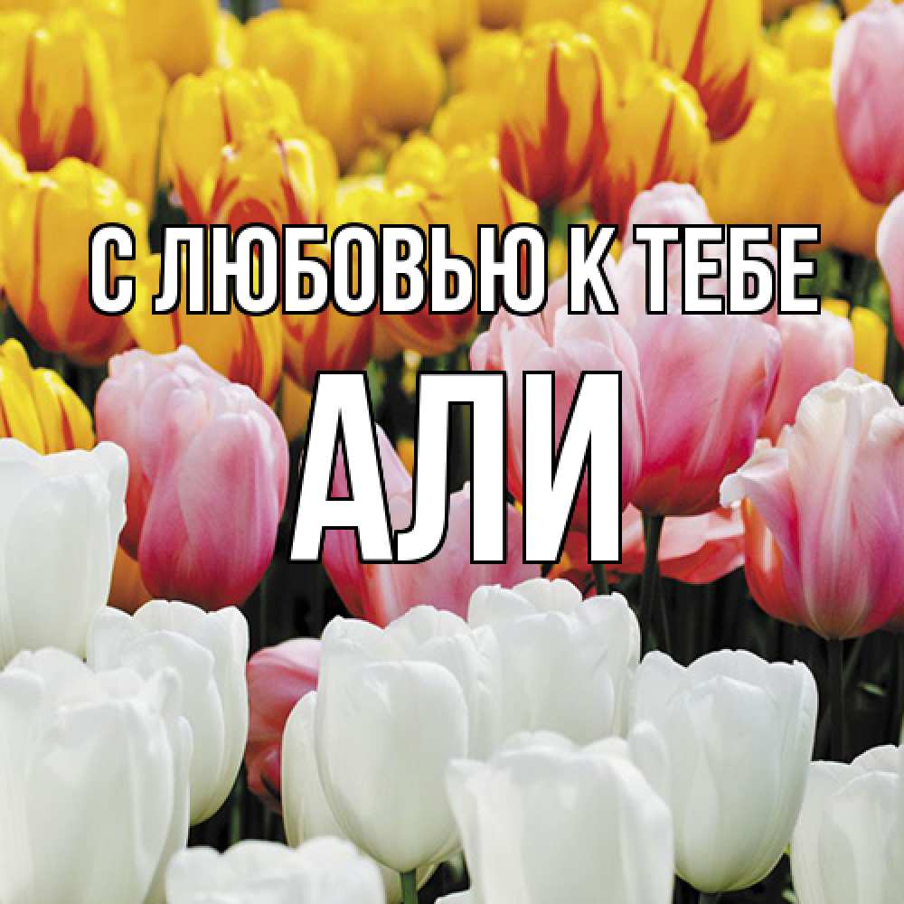 Открытка  с именем. Али, С любовью к тебе  