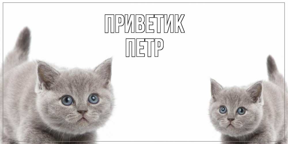 Открытка  с именем. Петр, приветик  