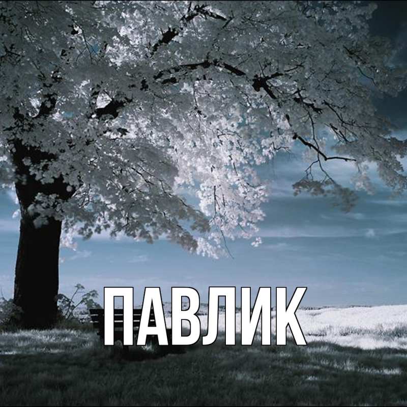 Картинка  с именем , Павлик