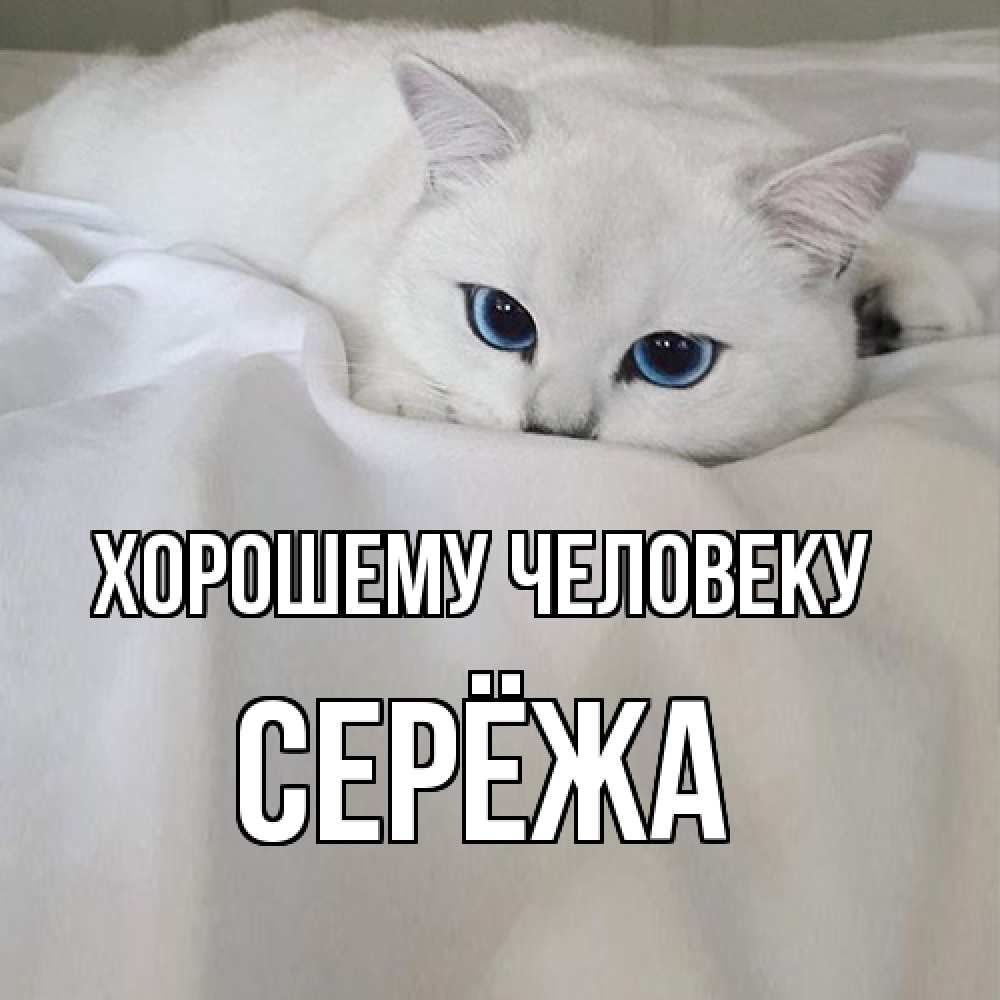 Открытка  с именем. Серёжа, Хорошему человеку  