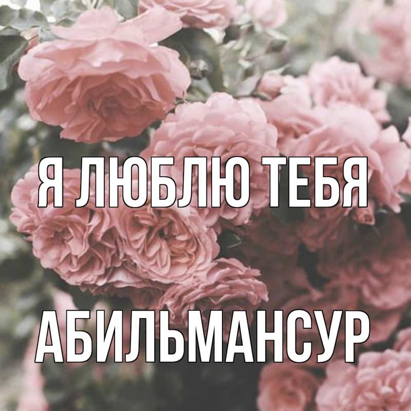 Картинка Я люблю тебя, Абильмансур