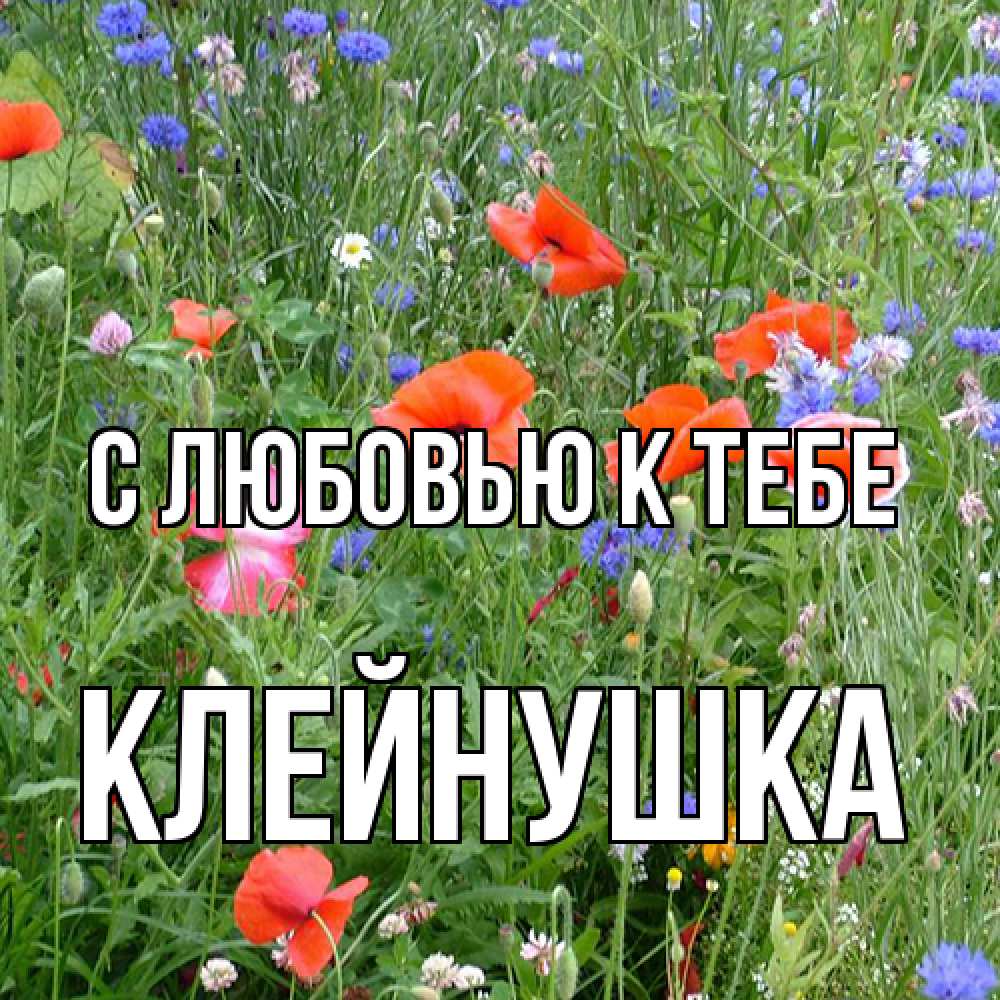 Открытка  с именем. Клейнушка, С любовью к тебе  