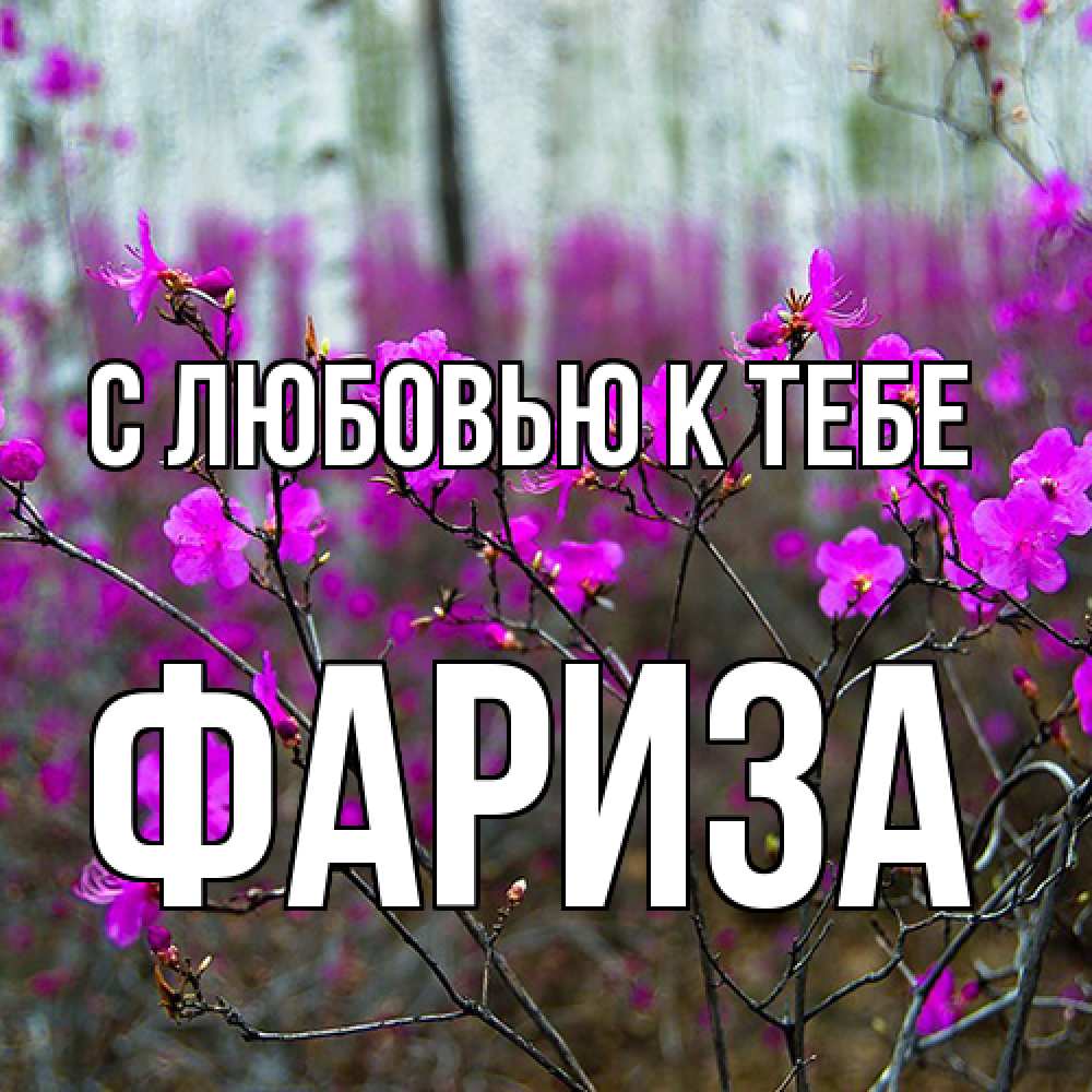 Открытка  с именем. Фариза, С любовью к тебе  