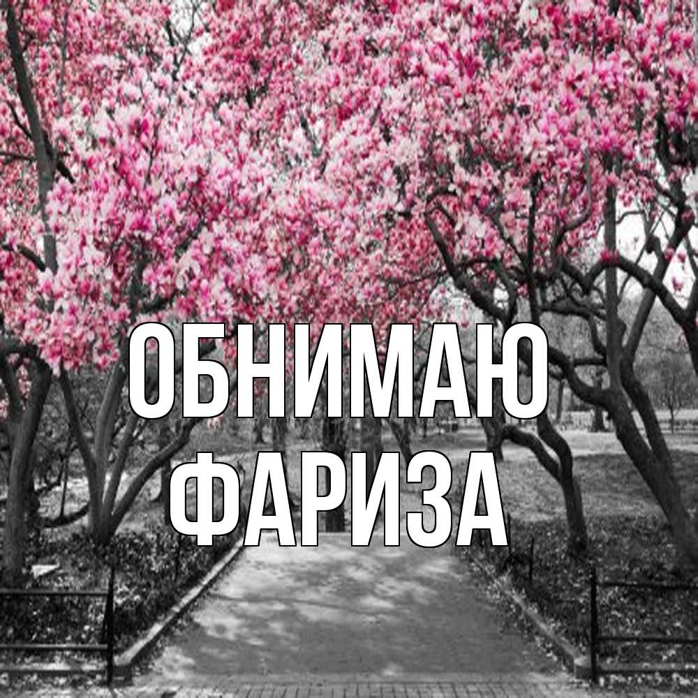 Открытка  с именем. Фариза, Обнимаю  