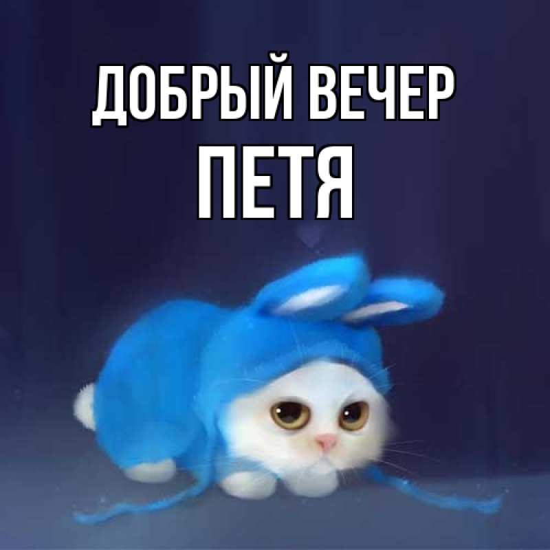 Картинка Добрый вечер, Петя