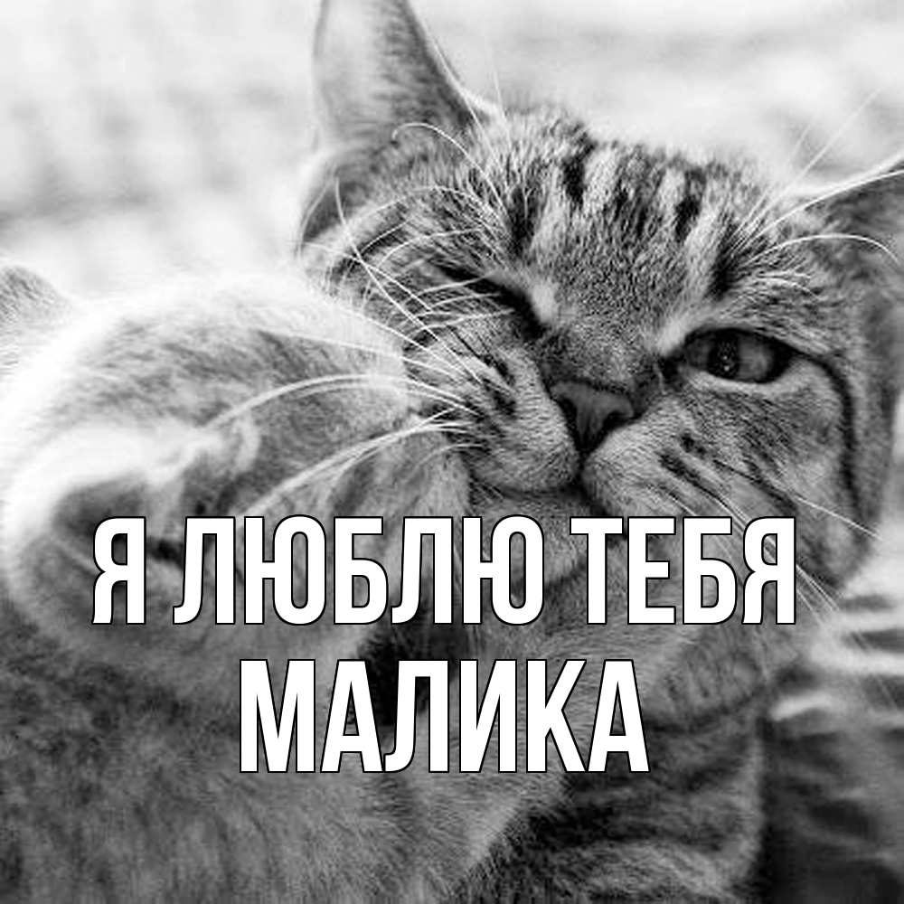 Открытка  с именем. Малика, Я люблю тебя  