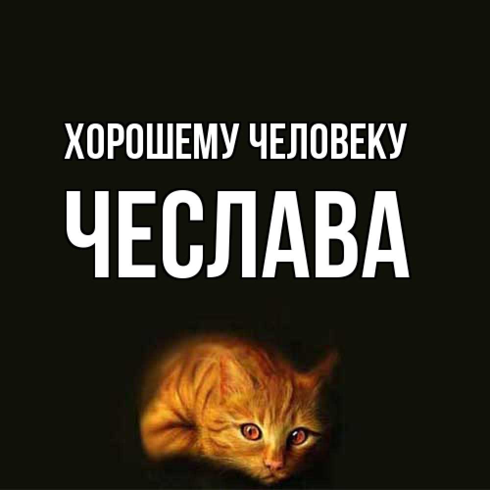 Открытка  с именем. Чеслава, Хорошему человеку  